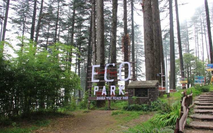 Dhanaulti Hotels